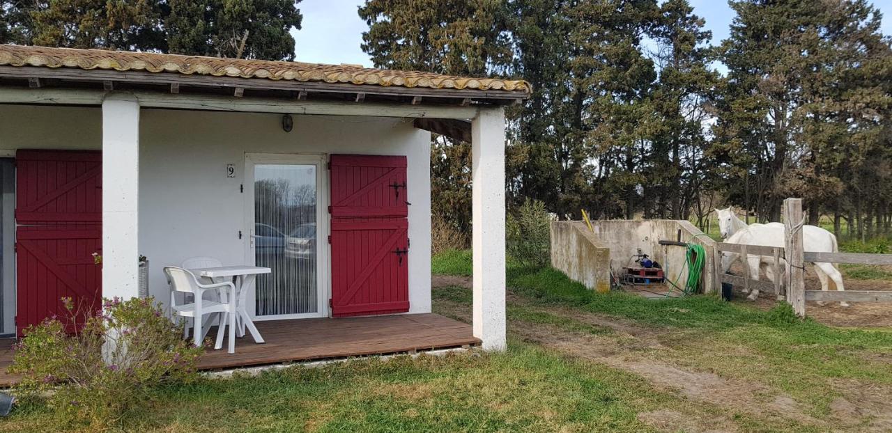 Mas Des Cypres Appartement Saintes-Maries-de-la-Mer Buitenkant foto