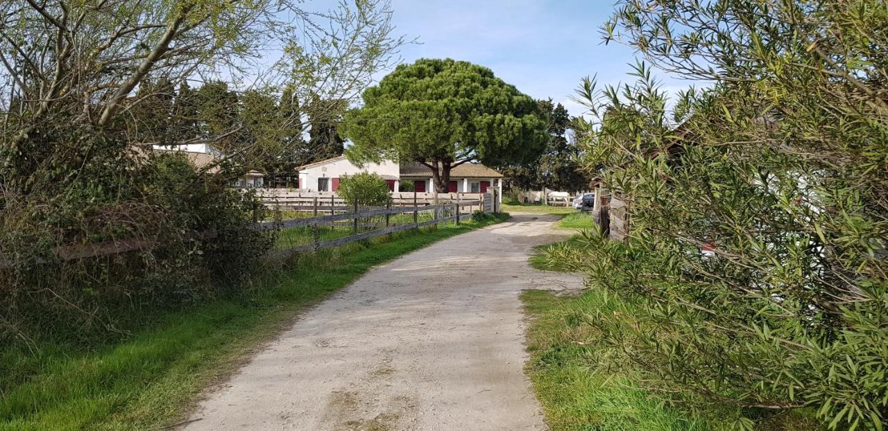 Mas Des Cypres Appartement Saintes-Maries-de-la-Mer Buitenkant foto